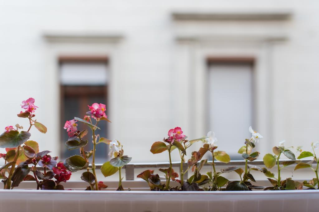 Apartamento Downtown Synagogue Budapest Exterior foto